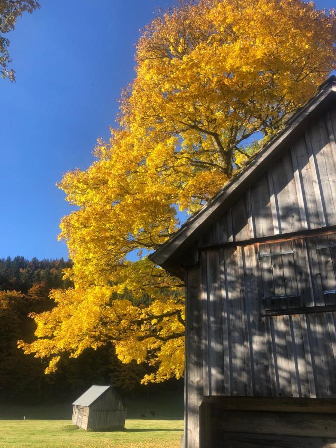 Die Alte Blaa Altaussee Esterno foto