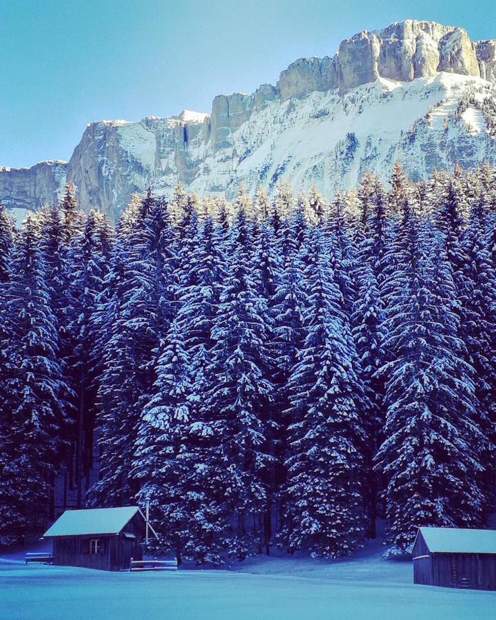 Die Alte Blaa Altaussee Esterno foto